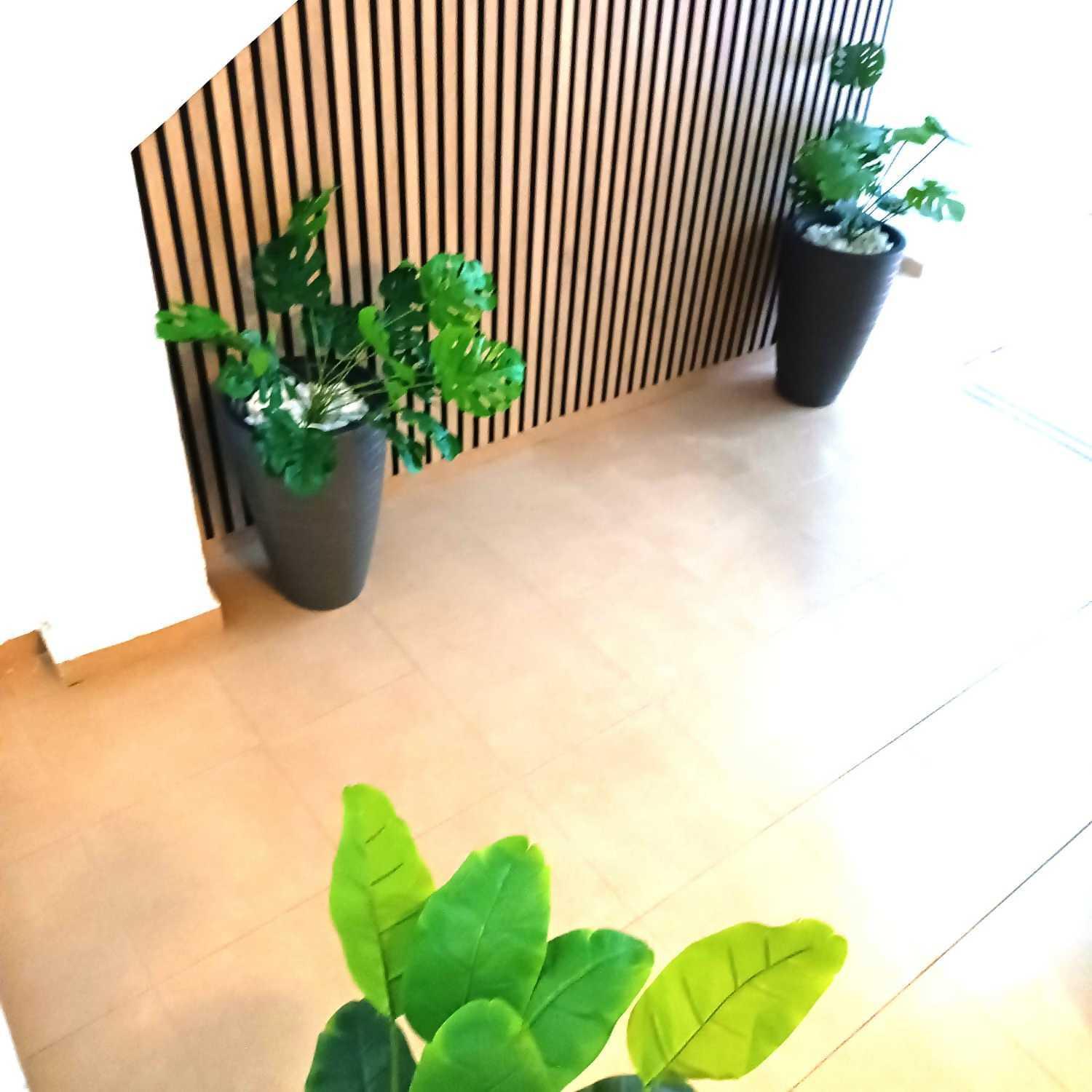 מאלגה Apartamentos Larios מראה חיצוני תמונה