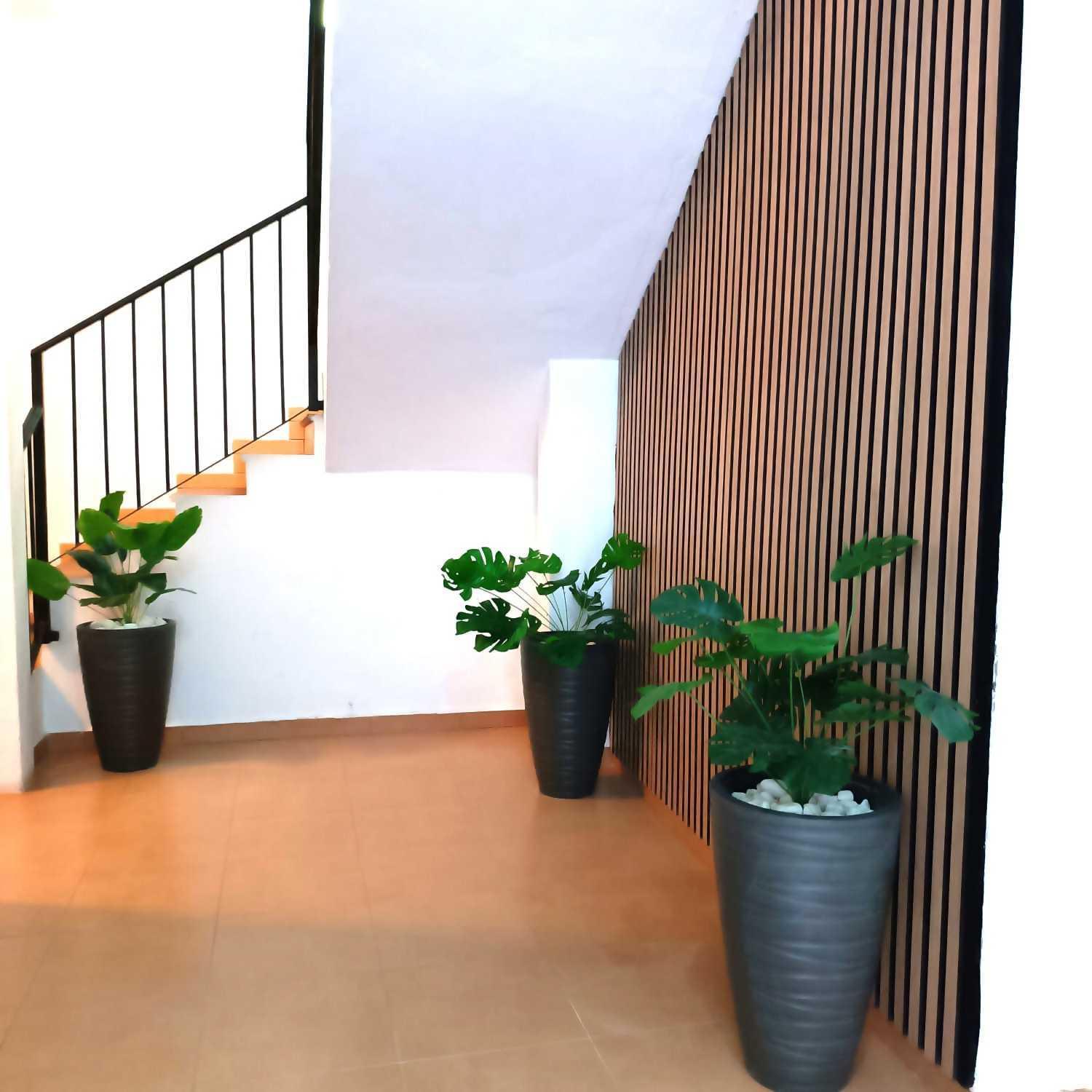 מאלגה Apartamentos Larios מראה חיצוני תמונה